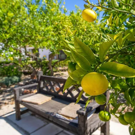 Labranza By Interhome * Javea